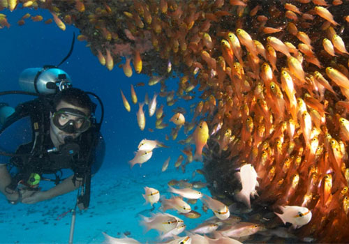 Coral Reef Exploration