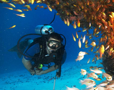 Zanzibar coral reef diving experience