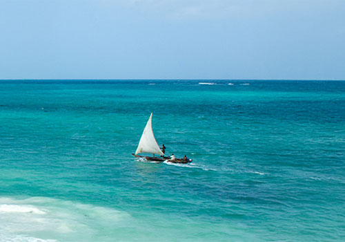 Drift Down the Coast on a Dhow