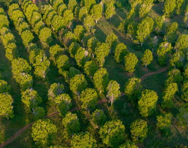 Exploring a spice farm in Zanzibar