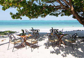 Beach view