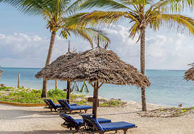Relaxing chairs near the beach