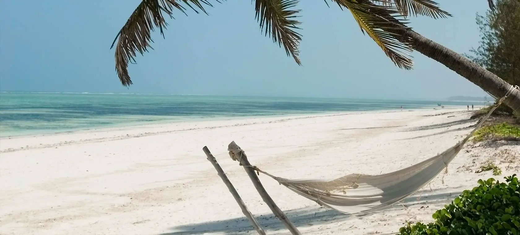 The Ultimate Guide to Tanzania: A Safari and Beach Vacation in One